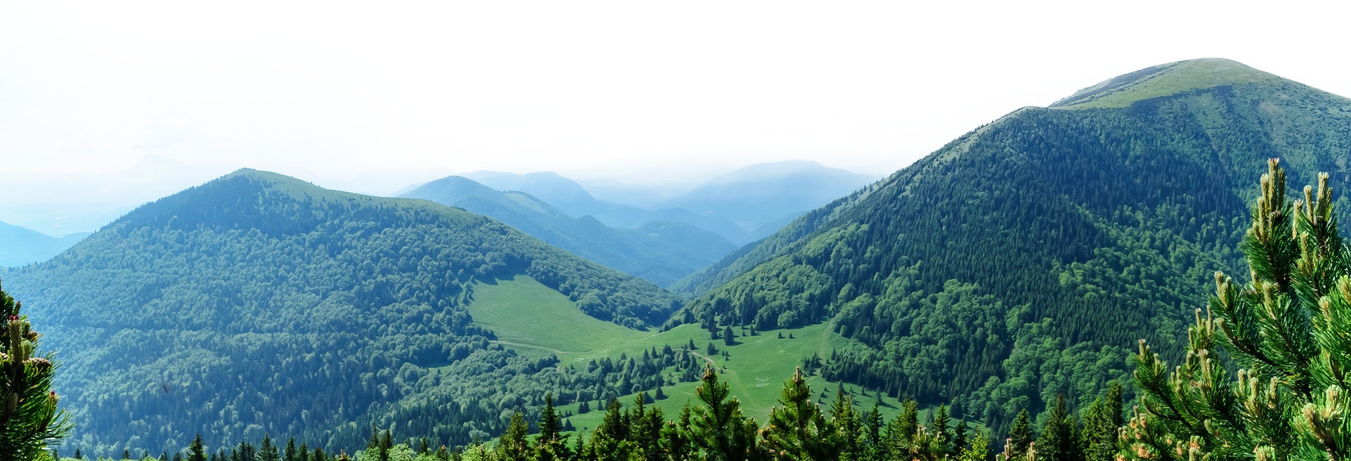 Green mountain landscape